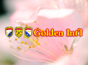 Please enjoy Golden Int'l Dance Academy teaching demo, student performance demo and student study in classroom demo,  

for more please visit http://1.8a99.com/en
